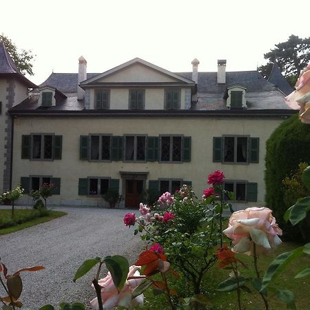 Chateau De Veigy Hotel Luaran gambar